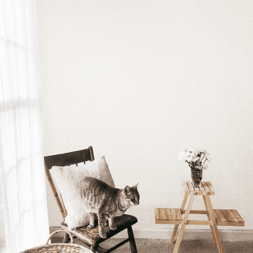 wall