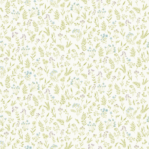 wall