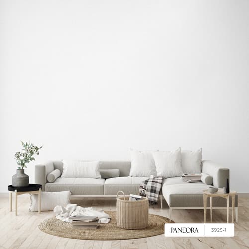 wall