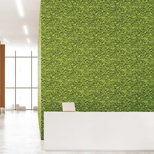 wall