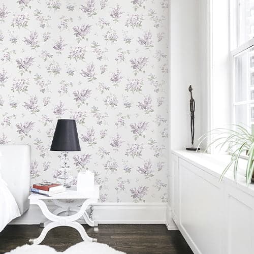 wall