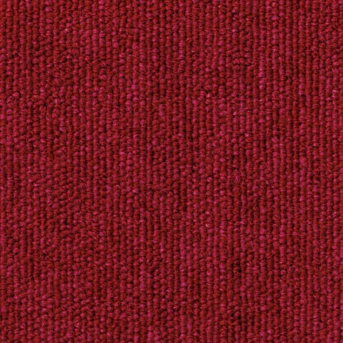 wall