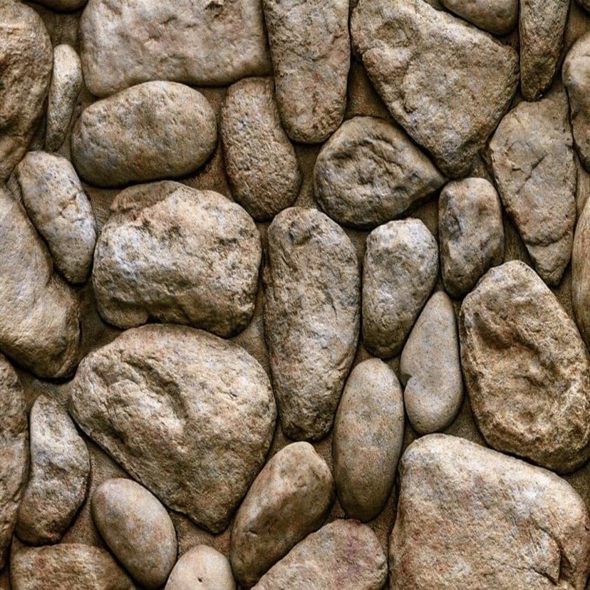 wall