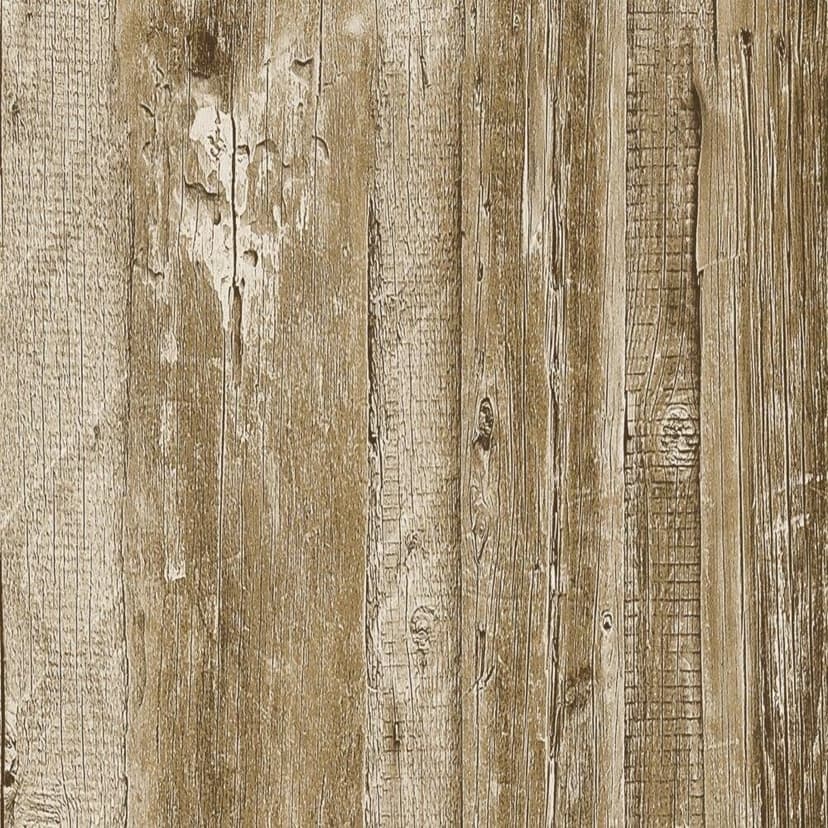 wall