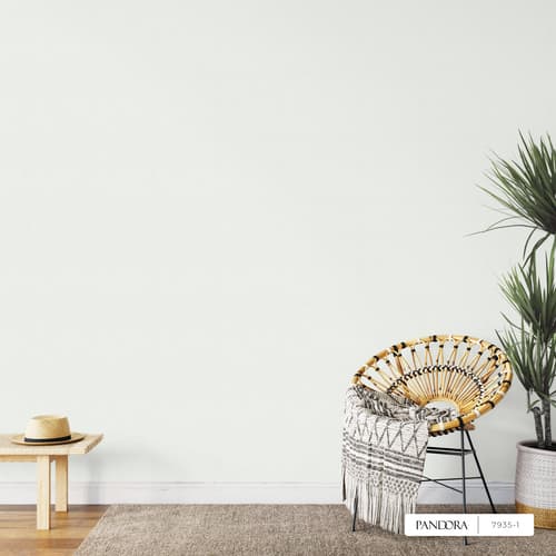 wall