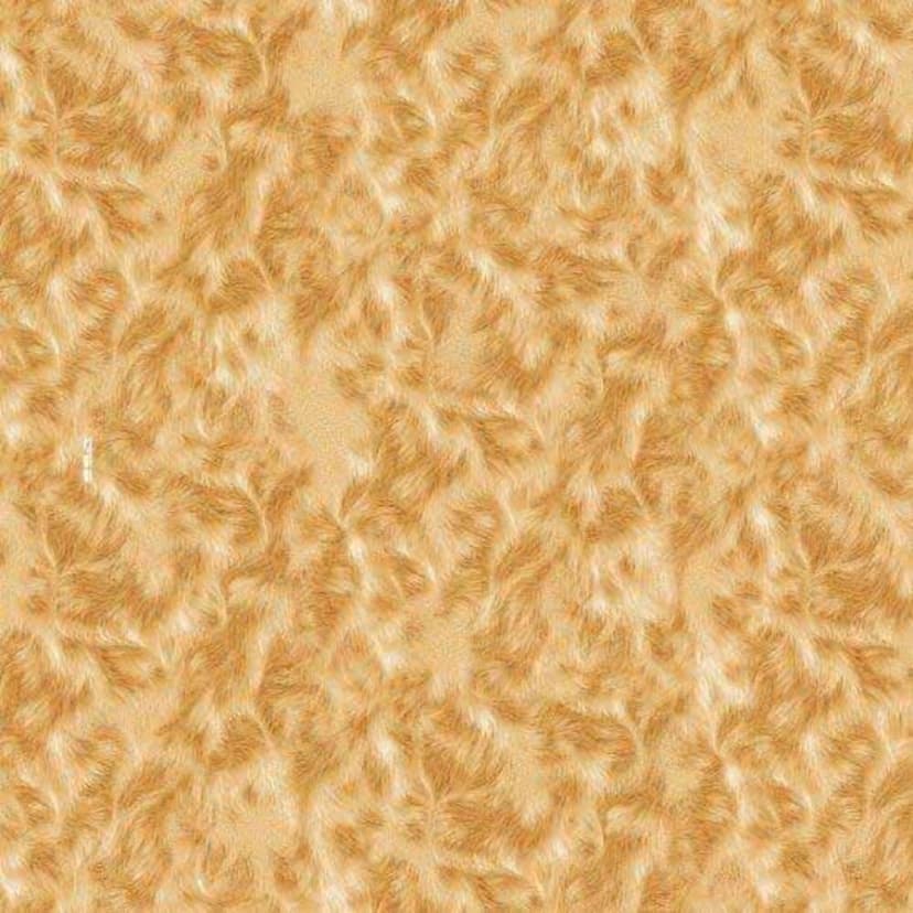 wall