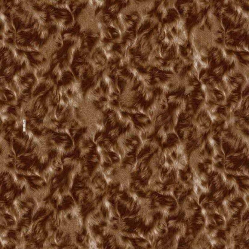 wall
