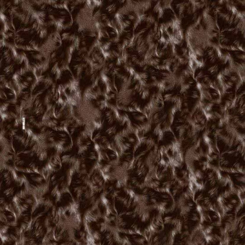 wall