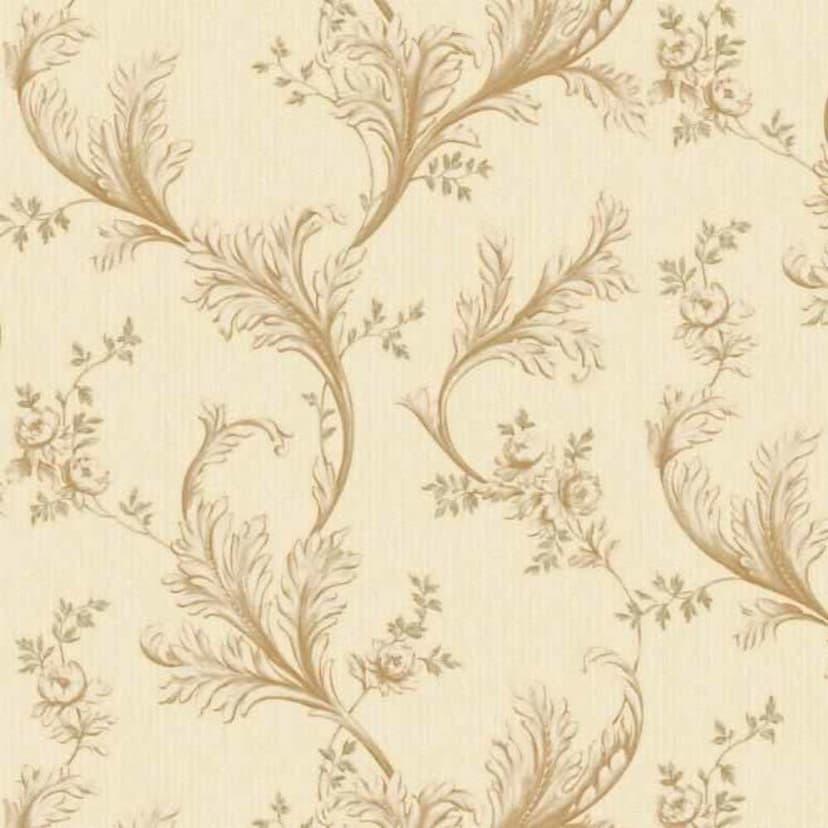 wall