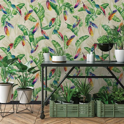 wall
