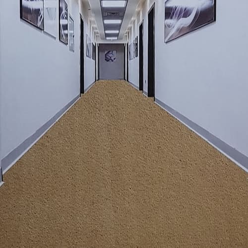 wall