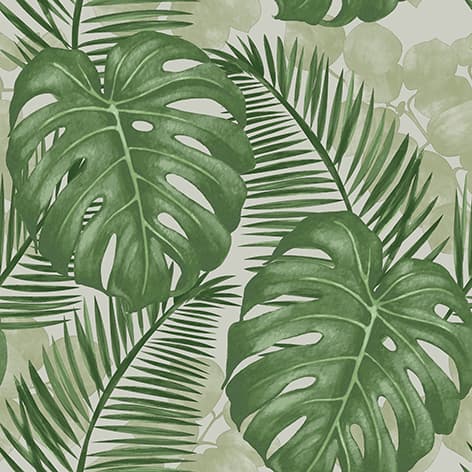 wall