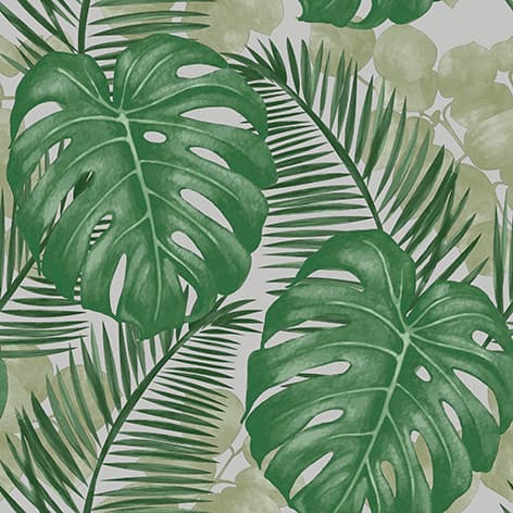 wall
