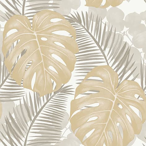 wall