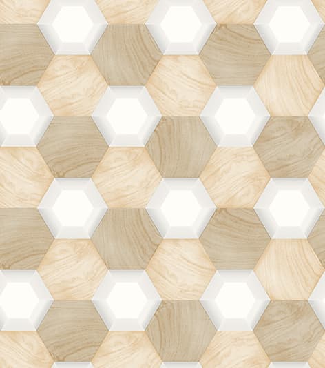 wall