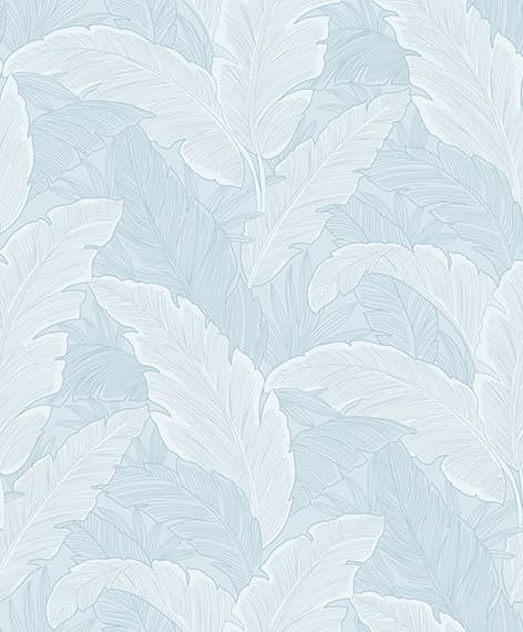 wall