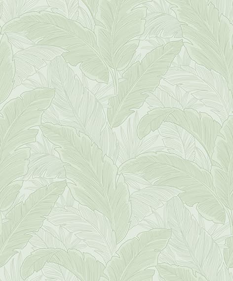 wall
