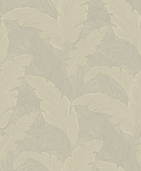 wall