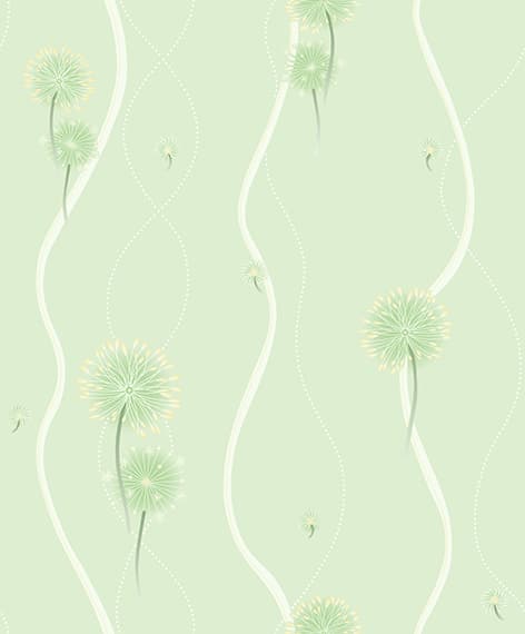 wall