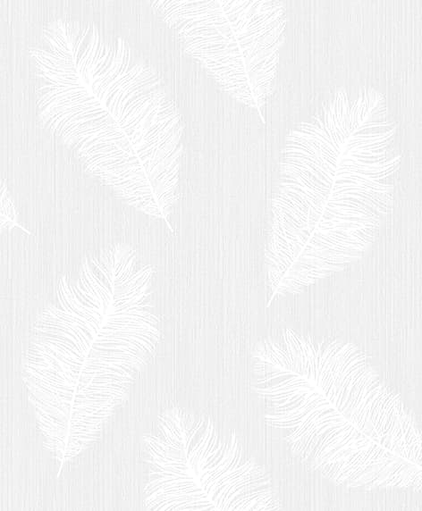 wall