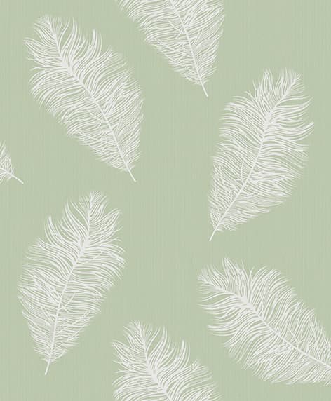 wall