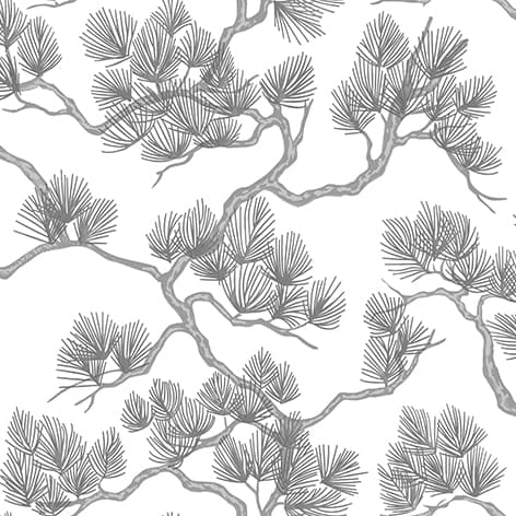 wall