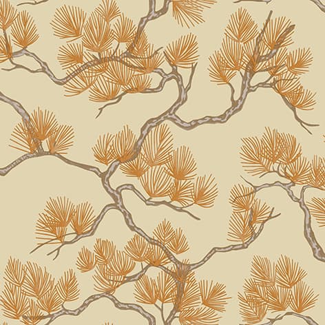 wall