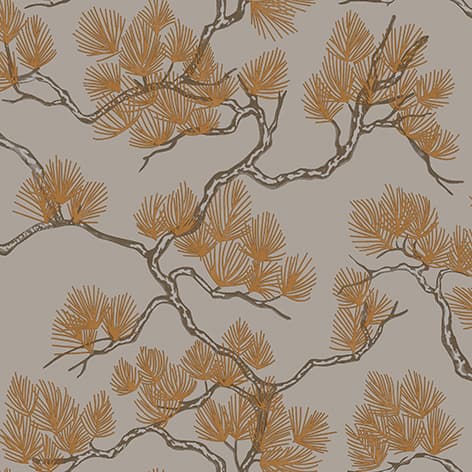 wall