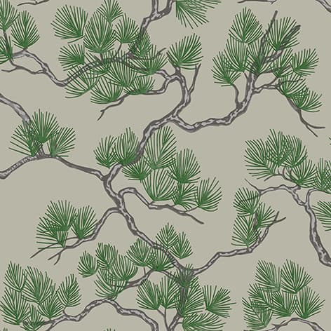 wall