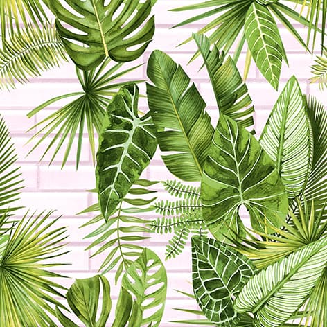 wall