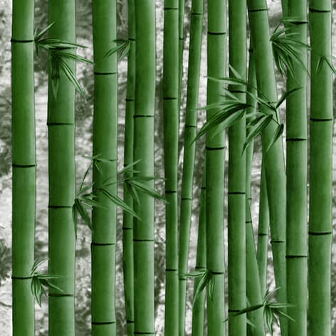 wall
