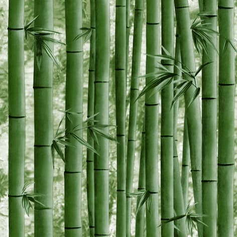 wall