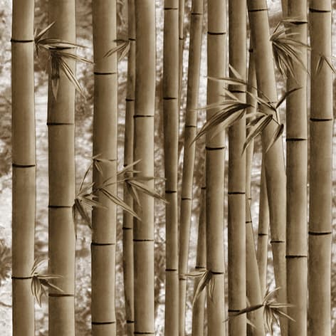 wall