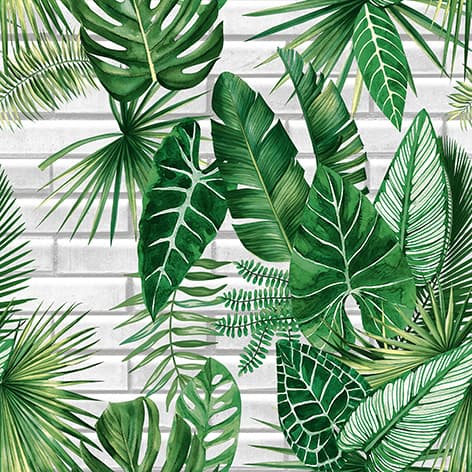 wall