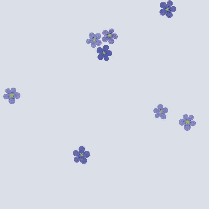 wall