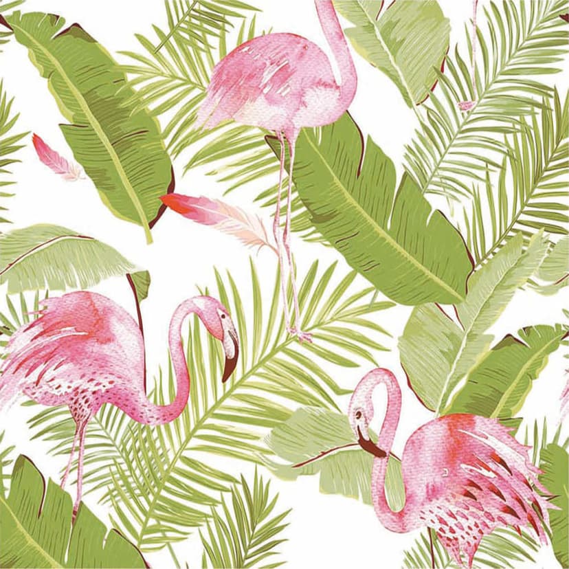 wall