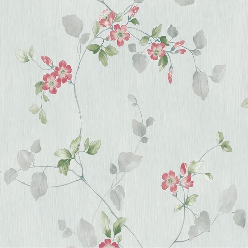 wall