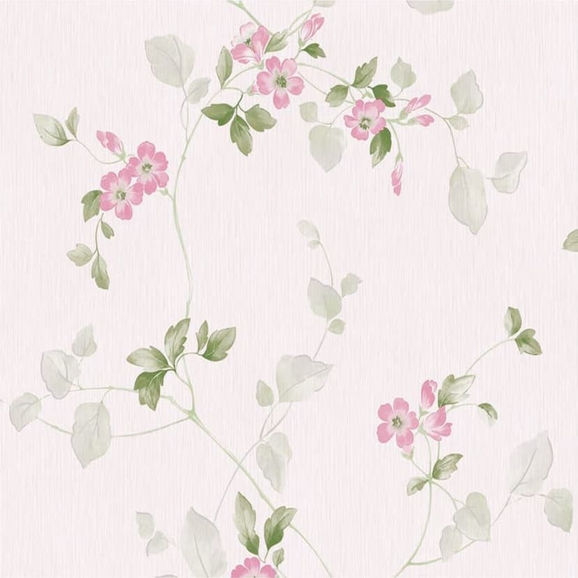 wall