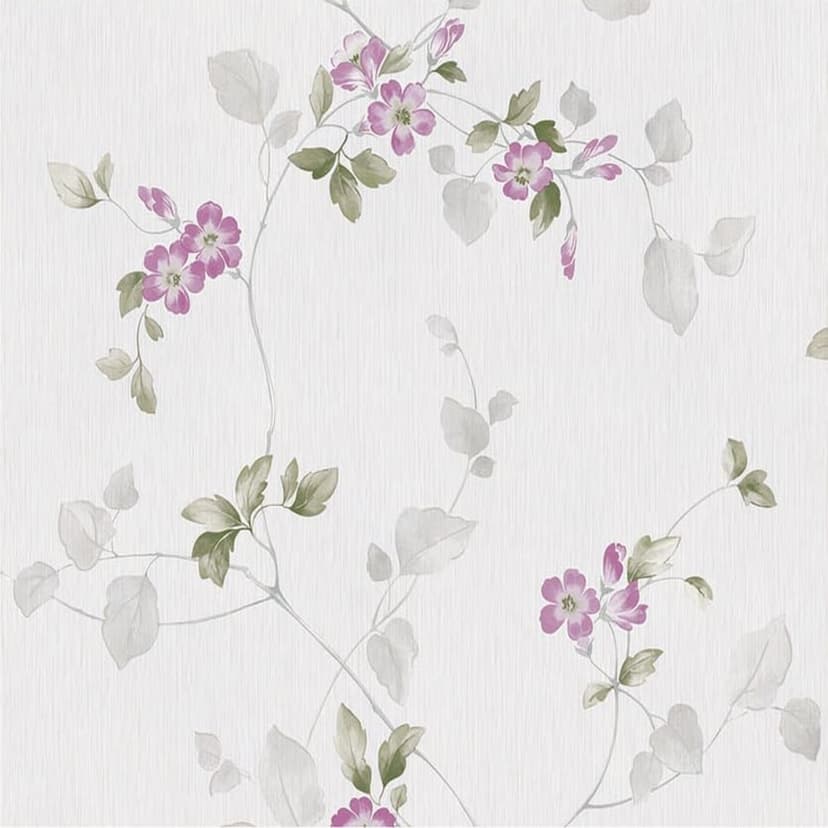 wall