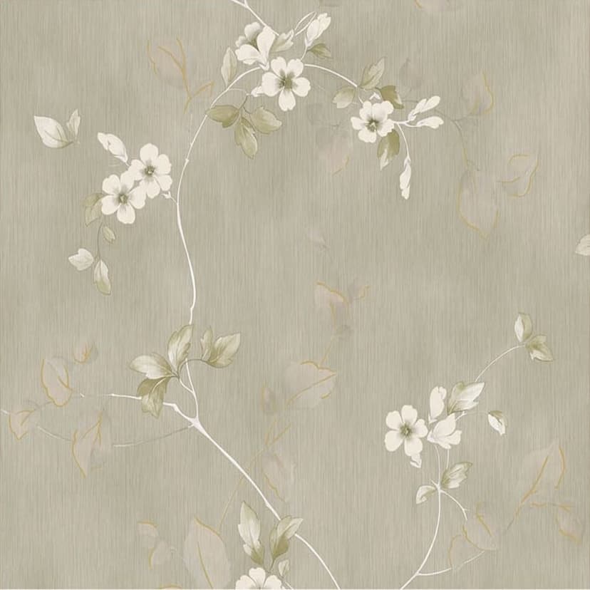 wall