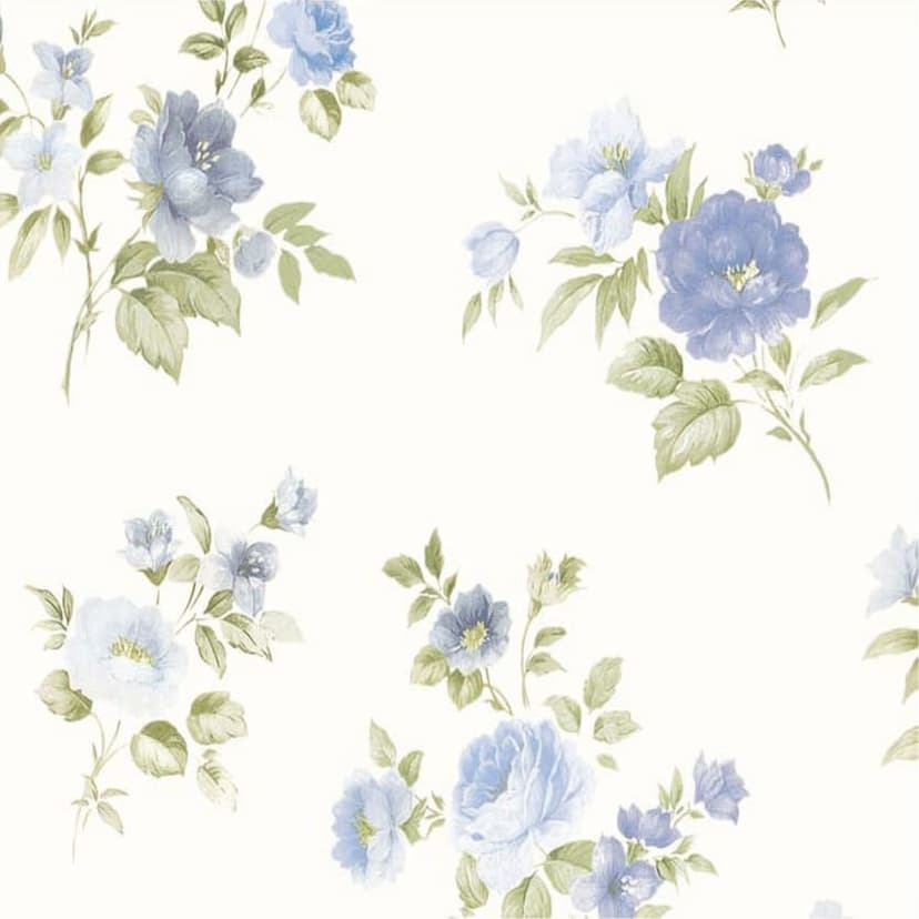 wall