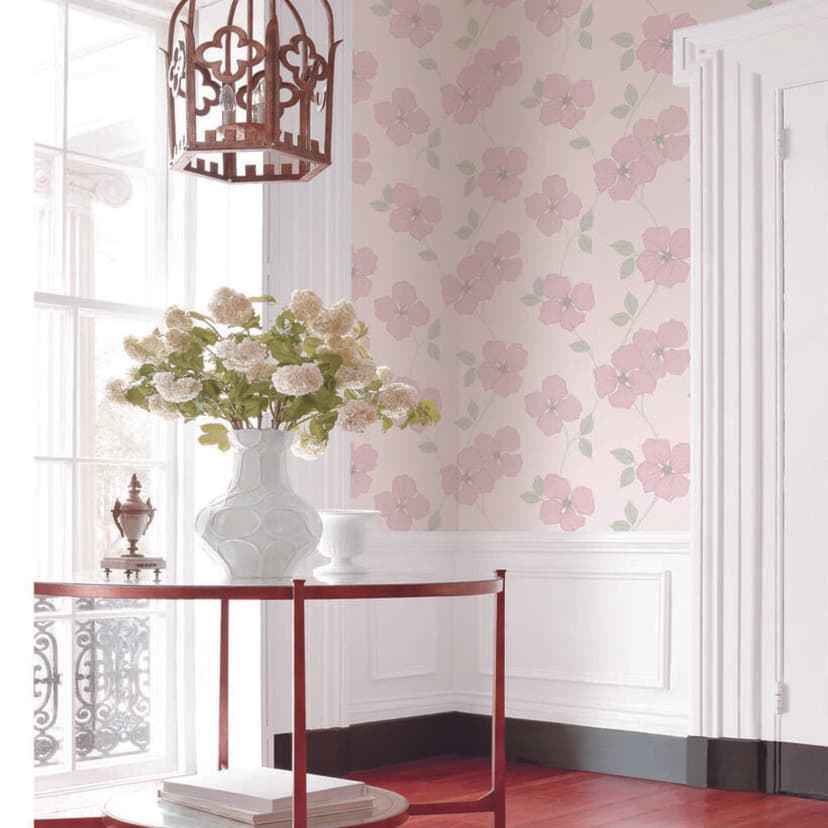 wall