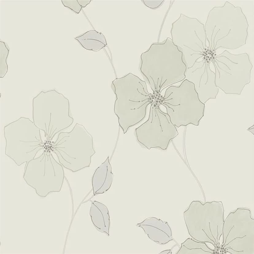 wall