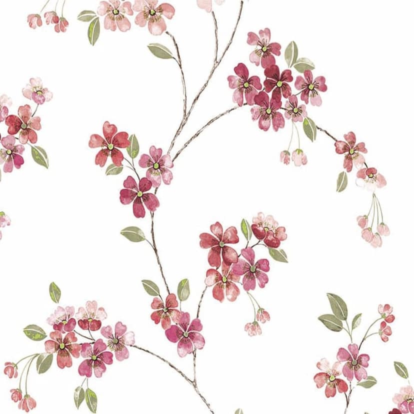 wall