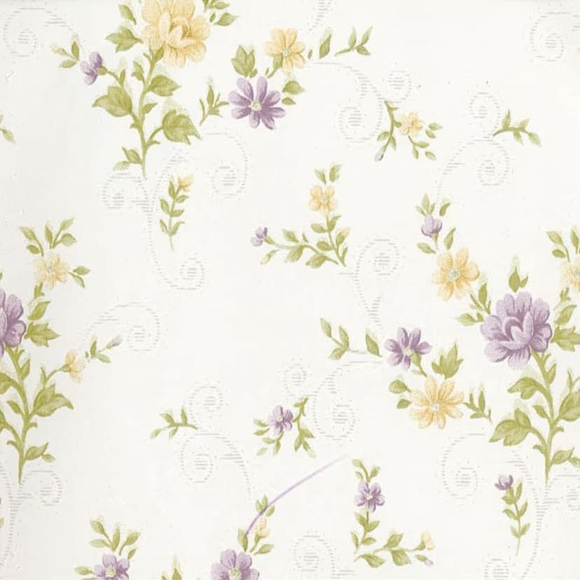 wall