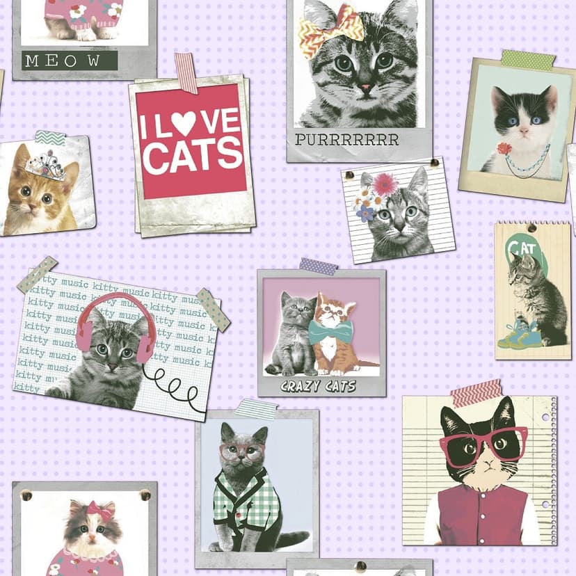 wall