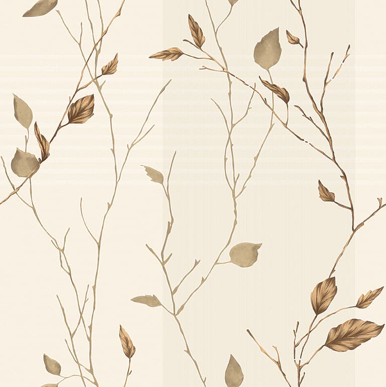 wall