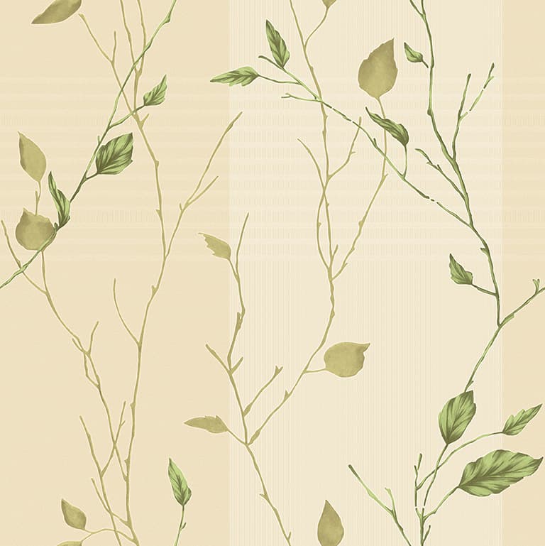 wall