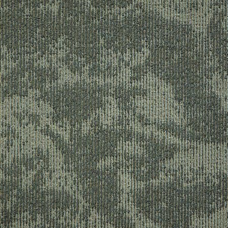 wall