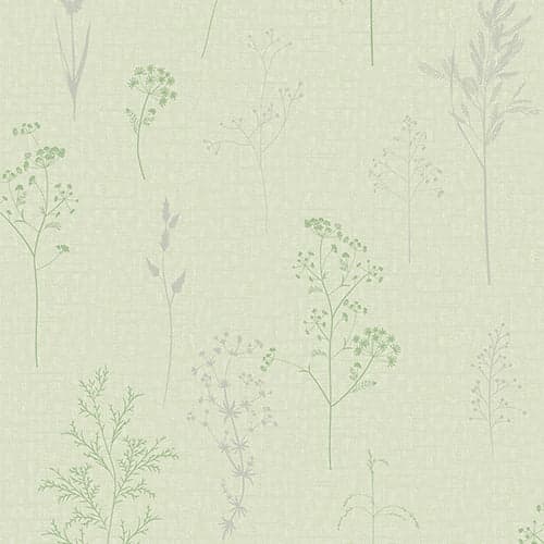 wall